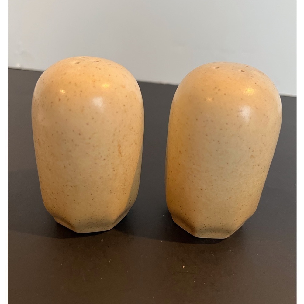 Mikasa Indian Feast Speckled Biscuit Salt and Pepper Shakers